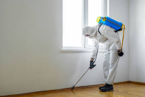 Best Organic or Eco-Friendly Pest Control  in Lewiston, UT